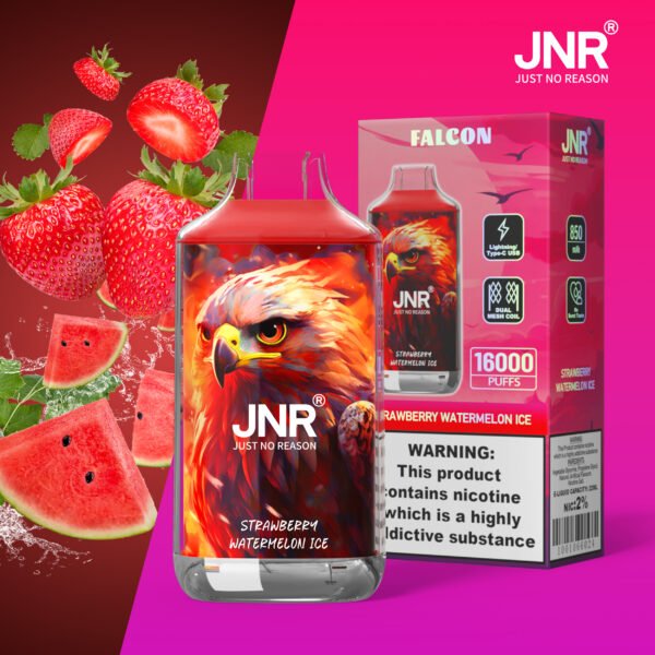 JNR Falcon 16000 Puffs